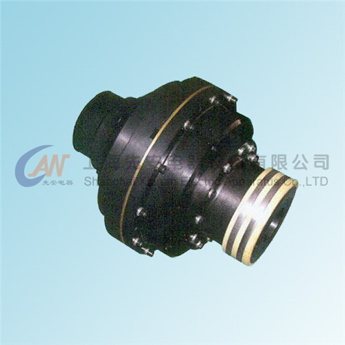 電磁制動(dòng)DLM2